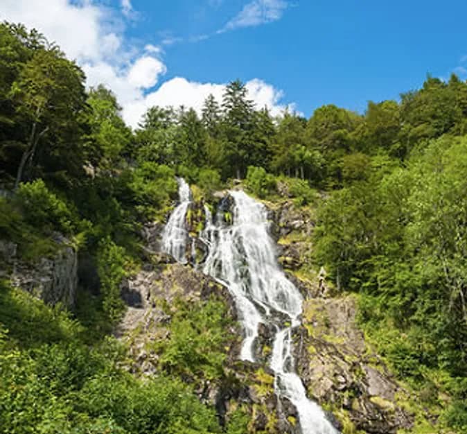 Der Todtnauer Wasserfall stürzt über bemooste Felsstufen durch dichten Nadelwald